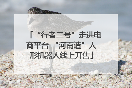 “行者二号”走进电商平台 “河南造”人形机器人线上开售