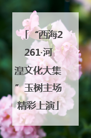 “西海2261·河湟文化大集”玉树主场精彩上演