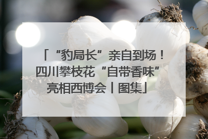 “豹局长”亲自到场！四川攀枝花“自带香味”亮相西博会丨图集