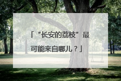 “长安的荔枝”最可能来自哪儿？
