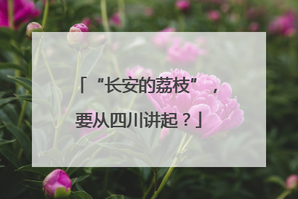 “长安的荔枝”，要从四川讲起？