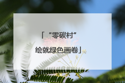 “零碳村” 绘就绿色画卷