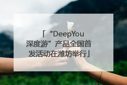 “DeepYou深度游”产品全国首发活动在潍坊举行