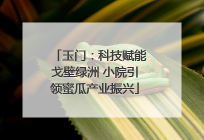 玉门：科技赋能戈壁绿洲 小院引领蜜瓜产业振兴