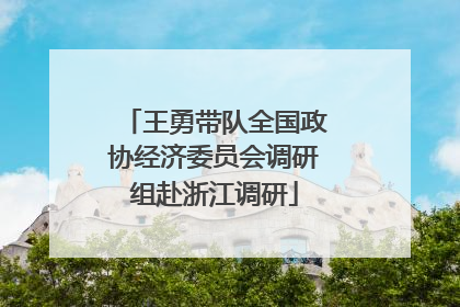 王勇带队全国政协经济委员会调研组赴浙江调研