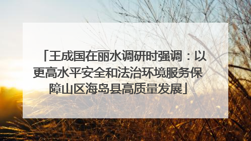 王成国在丽水调研时强调：以更高水平安全和法治环境服务保障山区海岛县高质量发展
