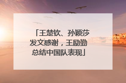 王楚钦、孙颖莎发文感谢，王励勤总结中国队表现