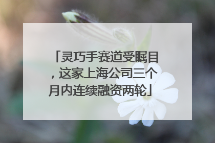 灵巧手赛道受瞩目，这家上海公司三个月内连续融资两轮