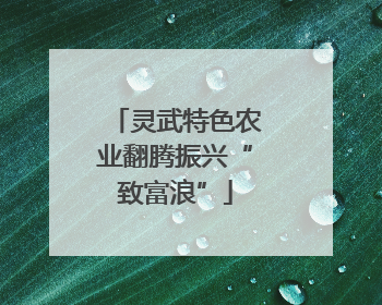 灵武特色农业翻腾振兴“致富浪”