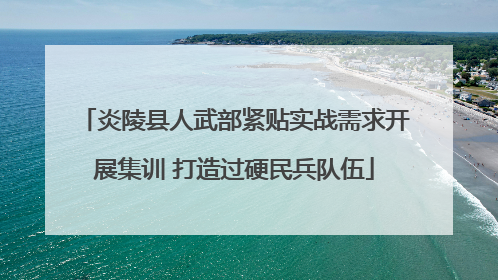 炎陵县人武部紧贴实战需求开展集训 打造过硬民兵队伍