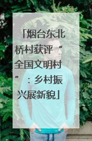 烟台东北桥村获评“全国文明村”：乡村振兴展新貌