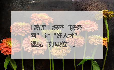 热评丨织密“服务网” 让“好人才”遇见“好职位”