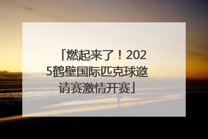 燃起来了！2025鹤壁国际匹克球邀请赛激情开赛