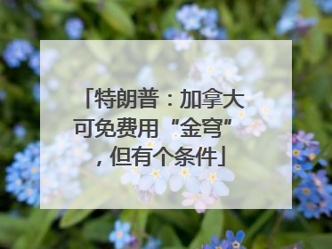 特朗普：加拿大可免费用“金穹”，但有个条件