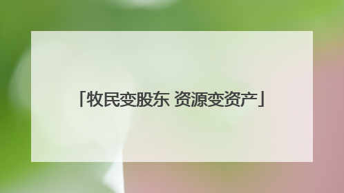 牧民变股东 资源变资产