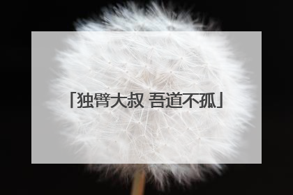独臂大叔 吾道不孤