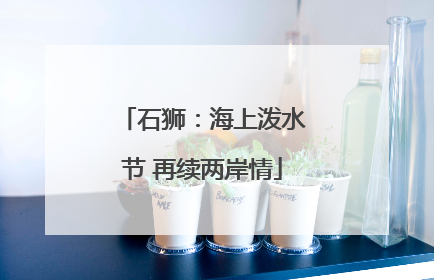石狮：海上泼水节 再续两岸情