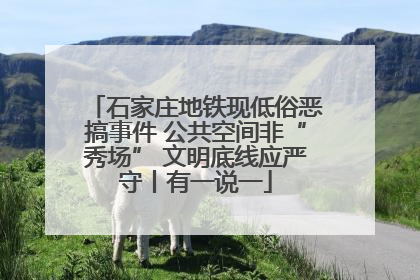 石家庄地铁现低俗恶搞事件 公共空间非“秀场” 文明底线应严守丨有一说一
