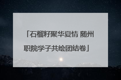 石榴籽聚华夏情 随州职院学子共绘团结卷