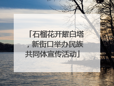 石榴花开耀白塔，新街口举办民族共同体宣传活动