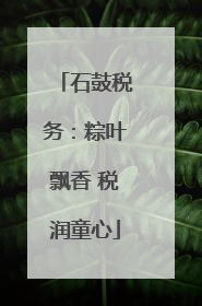石鼓税务：粽叶飘香 税润童心
