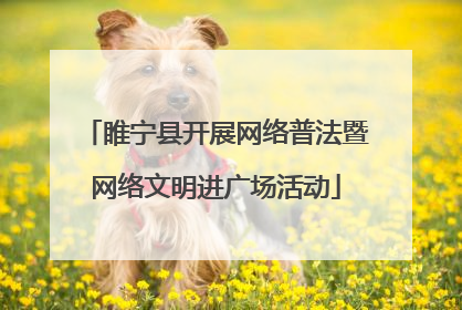 睢宁县开展网络普法暨网络文明进广场活动