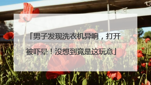 男子发现洗衣机异响，打开被吓晕！没想到竟是这玩意