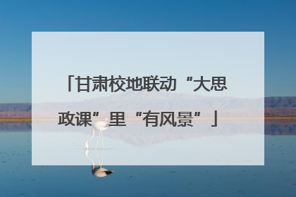 甘肃校地联动“大思政课”里“有风景”