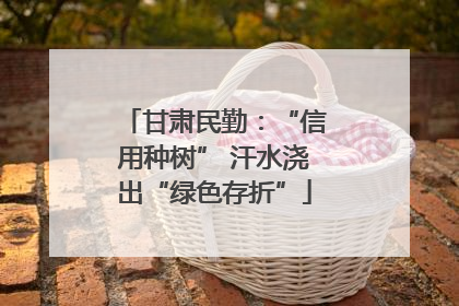 甘肃民勤：“信用种树” 汗水浇出“绿色存折”