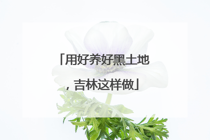 用好养好黑土地，吉林这样做