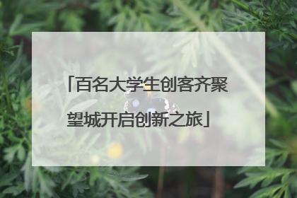 百名大学生创客齐聚望城开启创新之旅