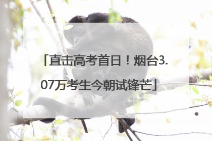 直击高考首日！烟台3.07万考生今朝试锋芒
