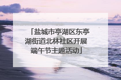 盐城市亭湖区东亭湖街道北林社区开展端午节主题活动