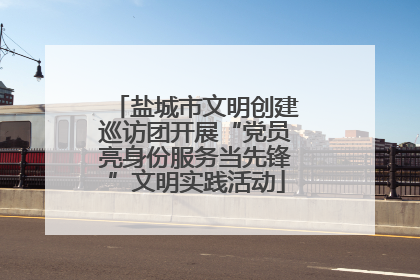 盐城市文明创建巡访团开展“党员亮身份服务当先锋”文明实践活动