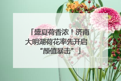 盛夏荷香浓！济南大明湖荷花率先开启“颜值暴击”