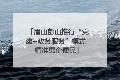 眉山彭山推行“党建+政务服务”模式 精准惠企便民