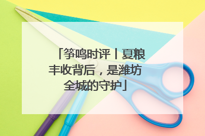 筝鸣时评丨夏粮丰收背后，是潍坊全城的守护
