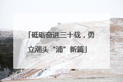 砥砺奋进三十载，勇立潮头“浦”新篇