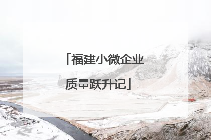 福建小微企业质量跃升记