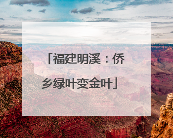 福建明溪：侨乡绿叶变金叶