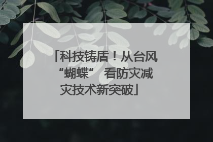 科技铸盾！从台风“蝴蝶” 看防灾减灾技术新突破