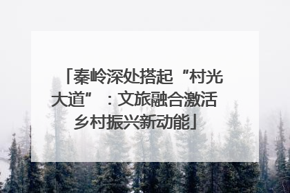 秦岭深处搭起“村光大道”：文旅融合激活乡村振兴新动能