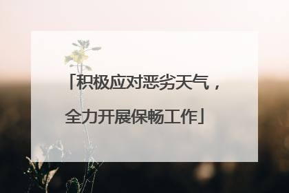 积极应对恶劣天气，全力开展保畅工作