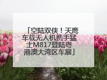 空陆双侠！天鹰车载无人机携手猛士M817登陆粤港澳大湾区车展