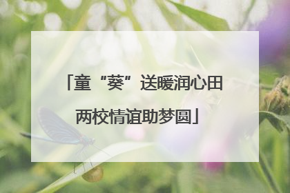 童“葵”送暖润心田 两校情谊助梦圆