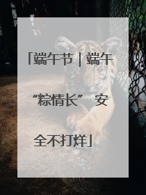 端午节｜端午“粽情长” 安全不打烊