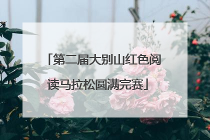 第二届大别山红色阅读马拉松圆满完赛