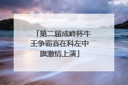 第二届成峰杯牛王争霸赛在科左中旗激情上演