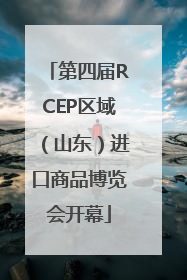第四届RCEP区域（山东）进口商品博览会开幕