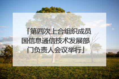 第四次上合组织成员国信息通信技术发展部门负责人会议举行